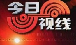 衡阳今日爆料电话,揭秘热线背后的真相与故事